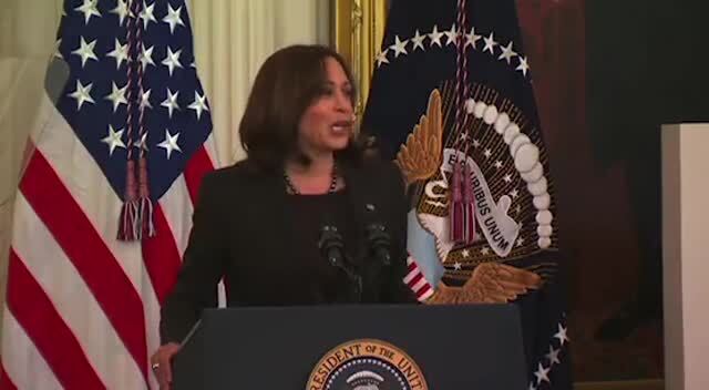 VP Kamala Harris: Voters ‘Got What They Asked for, I Went Off Script a Little Bit’