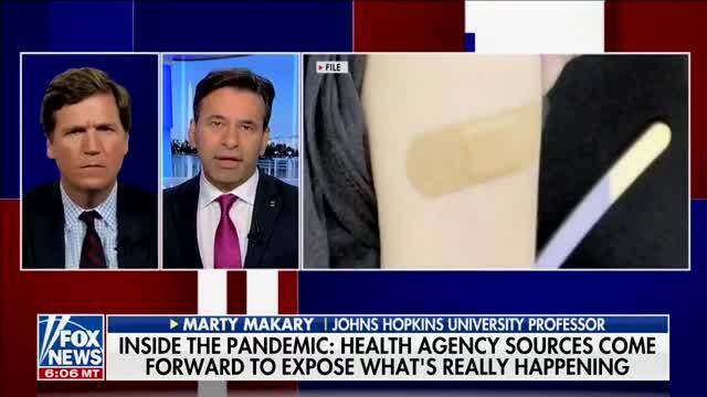 Dr. Makary: Doctors Are Muzzled to Comment Against Covid Vaccines