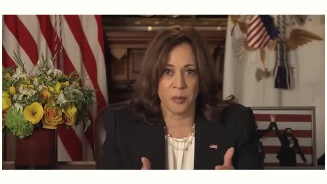 Harris: Women Are Getting Pregnant Every Day in America, and This Is a Real Issue