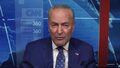 Schumer: ‘Individuals Will Finally Be Audited,’ Under Our New Bill