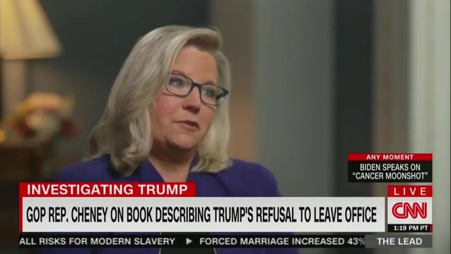 ‘It Just Affirms the Reality of the Danger’: Liz Cheney Reacts to Report About Trump Pledging Not to Leave Office After Loss