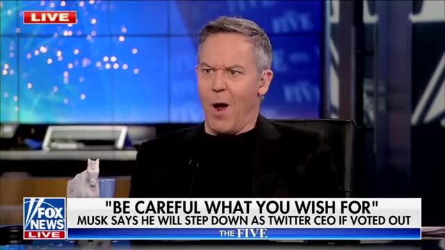 Gutfeld: Elon Musk Is Teaching Us How to Use Twitter in the Future... Maybe It’s the Future of Voting