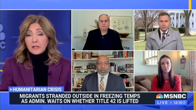 MSNBC Guest: Busing Migrants to VP Harris’ Residence Is ‘Shameful’ and ‘Disgusting’