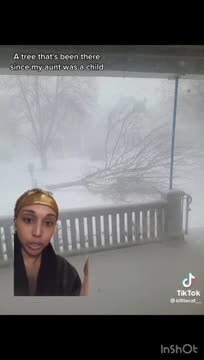 TikToker: Looting and Stealing During a Blizzard Is Fine Because White People Stole This Land