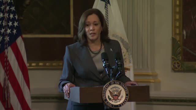 VP Harris: ‘We Will Devise Metrics ... To Help Us Articulate the Metrics By Which We Will Then Measure Our Success in Real-Time’