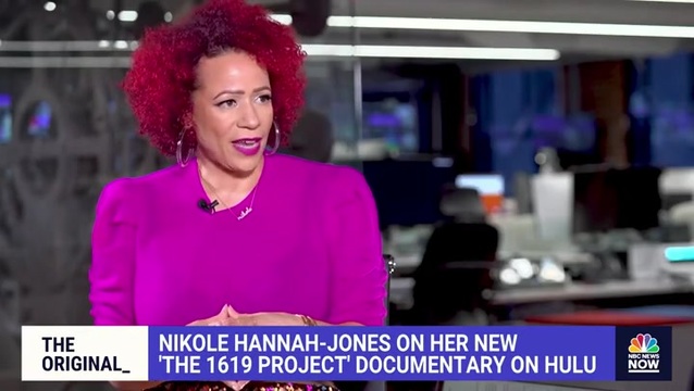 Nikole Hannah-Jones: Nikki Haley ‘Erases and Invisibilizes’ How the Black Freedom Struggle Allowed Her to Run for President