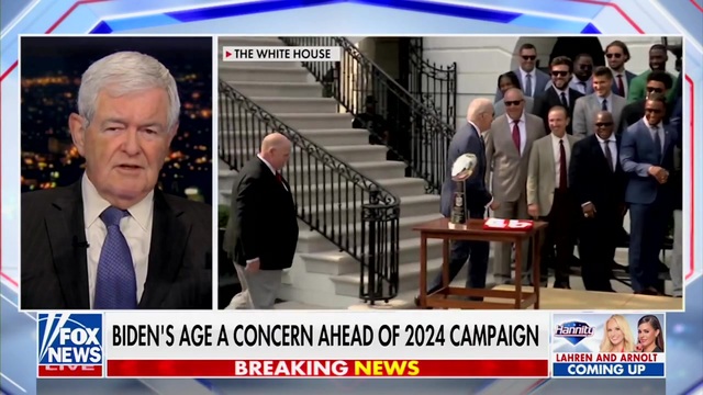 Newt Gingrich: Four Hours a Day of Biden Is Better Than Three Minutes of Kamala Harris