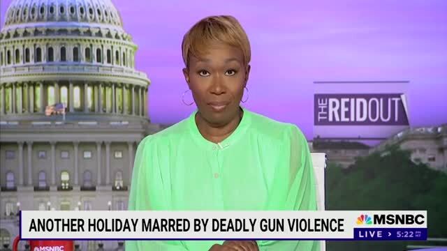 Reid: ‘I Didn’t Go out on July 4th, and Would Not’ ... ‘Because America Is Awash with Guns’