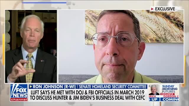Ron Johnson on Gal Luft: He Should Be Granted Immunity to ‘Testify on the Biden Family Corruption’