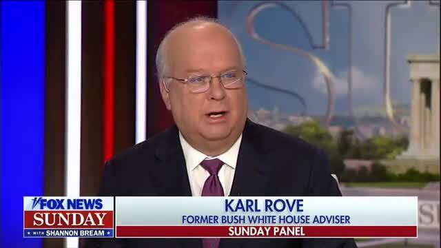 Karl Rove: If Biden Loses 1% of Black Voter Turnout From 2020, He Loses Georgia