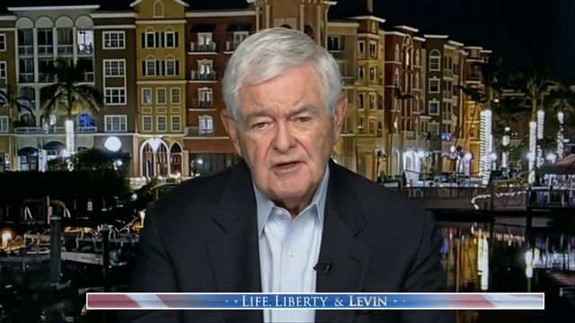 Newt Gingrich: Trump’s Not a Candidate, He’s the Leader of a Movement