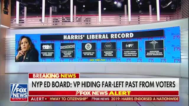 Kevin McCarthy Calls Out Trump’s Fixation on Kamala Harris Crowd Size ...